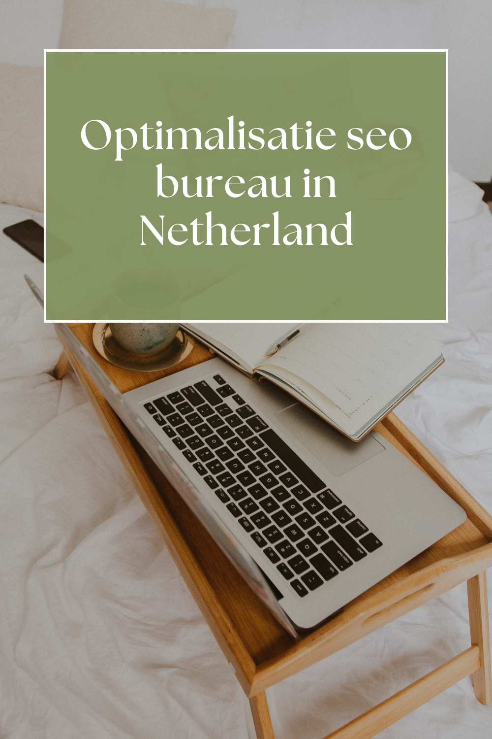 Optimalisatie seo bureau in Netherland
