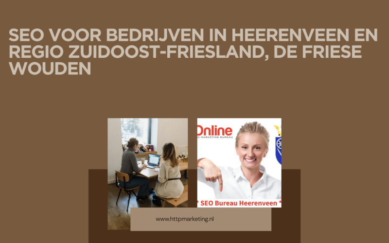 SEO voor bedrijven in Heerenveen en regio Zuidoost-Friesland, de Friese Wouden