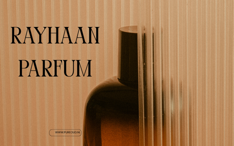 Rayhaan Parfum Revolutie: Ontdek Exclusieve Geuren en Bestel Slim Online